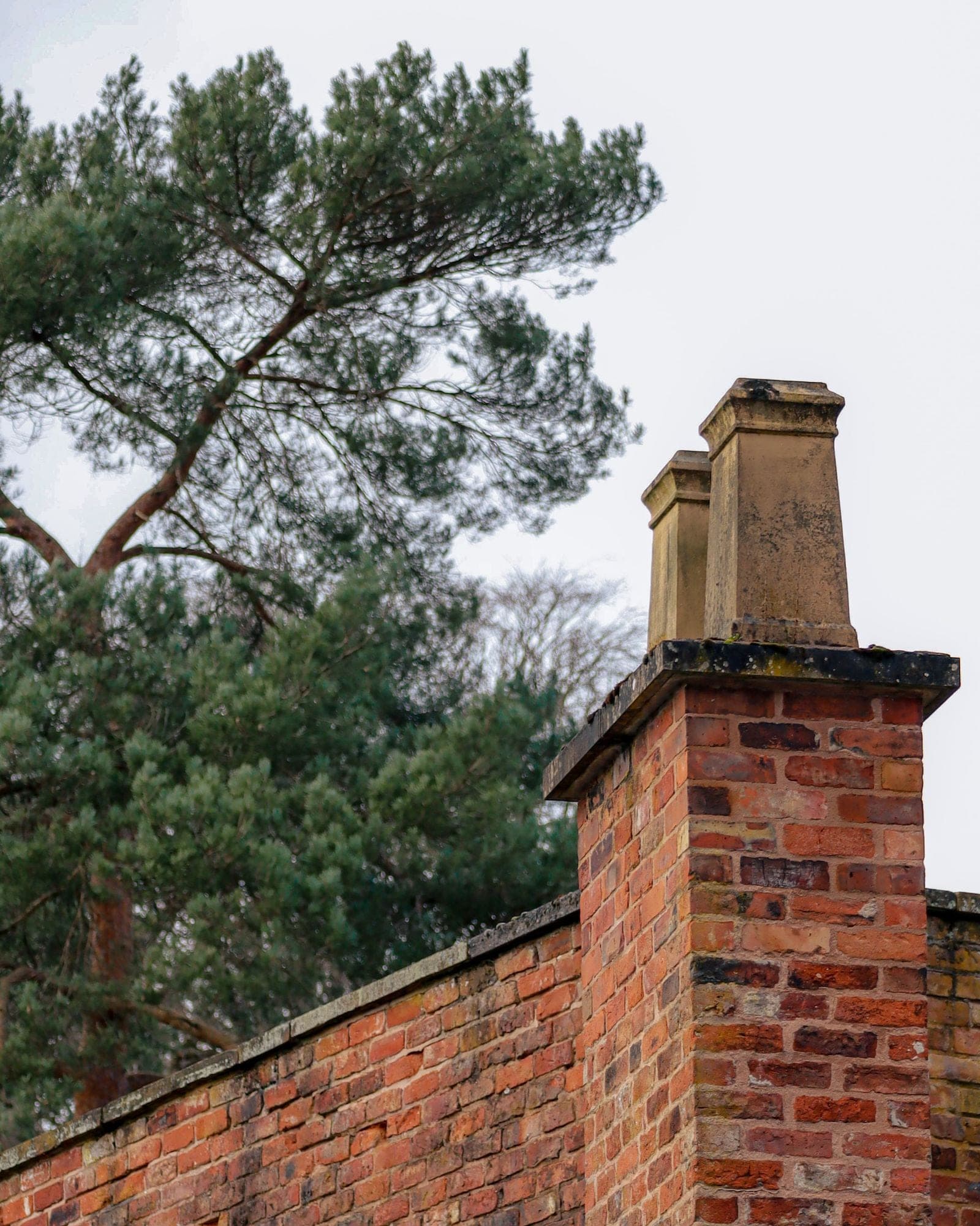 A brick chimney with two flue tiles beside a brick wall and a pine tree