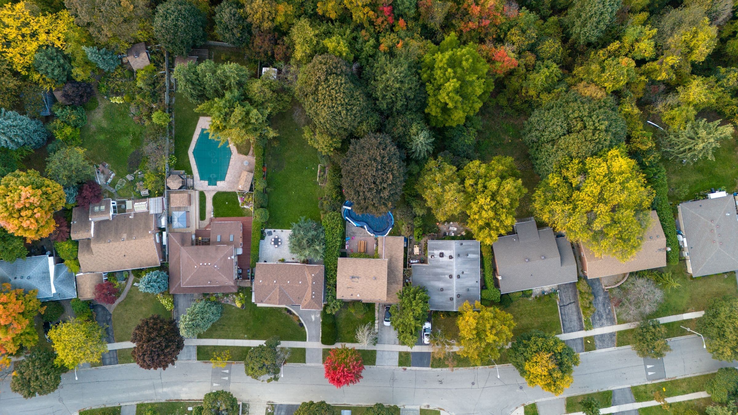 Aerial view of houses and tree-lined streets in a suburb